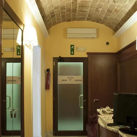 Clara Domus 3*